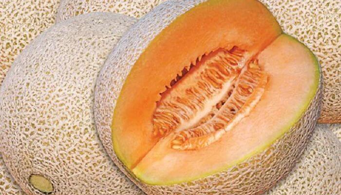 melon para las quemaduras solares