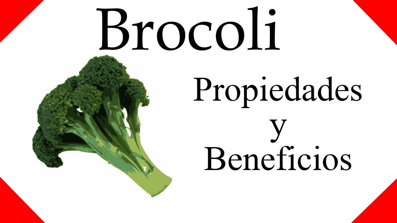 conoce los beneficios del brócoli